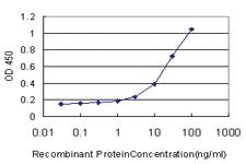 Anti-SLC44A1 Mouse Monoclonal Antibody [clone: 1C4]