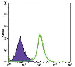 Anti-RBP4 Mouse Monoclonal Antibody [clone: 4C2]