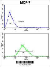 Anti-COX5A Rabbit Polyclonal Antibody (FITC (Fluorescein Isothiocyanate))