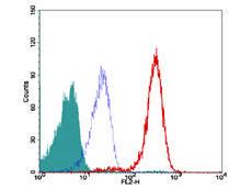 Anti-TERF2 Mouse Monoclonal Antibody (Unconjugated) [clone: 4A794.15]