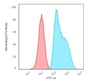 Flow cytometric analysis of trypsinised HeLa cells using Anti-S100A2 Antibody [CPTC-S100A2-2] followed by Goat Anti-Mouse IgG (CF&#174; 488) (Blue) Isotype Control (Red)