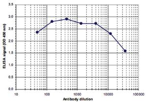 Anti-H3S10p Polyclonal Antibody