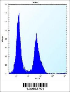 Anti-PODNL1 Rabbit Polyclonal Antibody (Biotin)