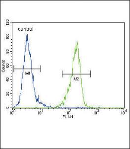 Anti-ENPP2 Rabbit polyclonal antibody