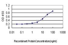 Anti-ART3 Mouse Monoclonal Antibody [clone: 3A2]