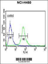 Anti-Integrin beta-like 1 with EGF-like Repeat Domains Rabbit Polyclonal Antibody (Biotin)