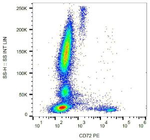 Surface staining of CD72 on human peripheral blood cells with Anti-CD72 Antibody (A85827)