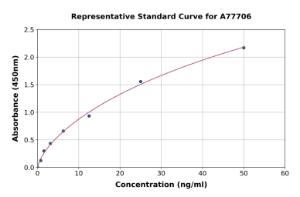 Representative standard curve for Mouse Arginase ELISA kit (A77706)