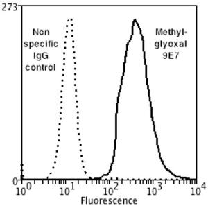 Flow cytometry analysis of human neuroblastoma cells (SH-SY5Y), fixed in 90% methanol, using Anti-Methylglyoxal Antibody [9E7] (A304733) at 1:50 for 30 minutes on ic