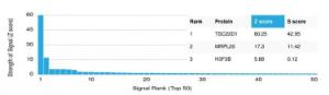 Analysis of protein array containing more than 19,000 full-length human proteins using Anti-TSC22D1 Antibody [PCRP-TSC22D1-1A2] Z-Score and S- Score