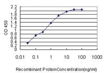 Anti-PSMD14 Mouse Monoclonal Antibody [clone: 4A10-E8]