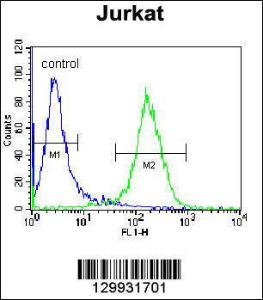 Anti-PPP1R3G Rabbit Polyclonal Antibody (FITC (Fluorescein Isothiocyanate))