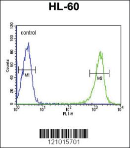 Anti-PSME1 Rabbit Polyclonal Antibody