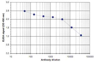 Anti-ZBTB38 Rabbit Polyclonal Antibody