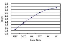 Anti-RIPK2 Antibody Pair