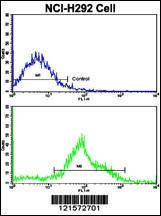 Anti-FTO Rabbit Polyclonal Antibody (PE (Phycoerythrin))