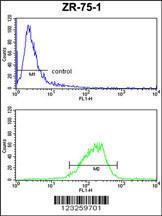 Anti-COX6A1 Rabbit Polyclonal Antibody (HRP (Horseradish Peroxidase))