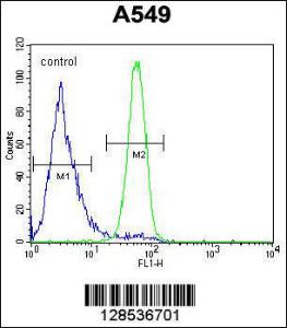 Anti-FSTL1 Rabbit Polyclonal Antibody (Biotin)