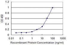 Anti-CD79B Mouse Monoclonal Antibody [clone: 4E10-2A10]