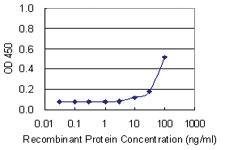 Anti-GTF2H4 Mouse Monoclonal Antibody [clone: 4F6]