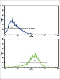 Anti-Interferon beta Rabbit Polyclonal Antibody