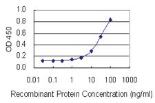 Anti-P2RX2 Mouse Monoclonal Antibody [clone: 3D5]