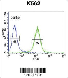 Anti-RTN4RL1 Rabbit Polyclonal Antibody