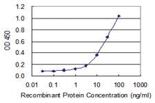 Anti-KLRC4 Mouse Monoclonal Antibody [clone: 1D10]