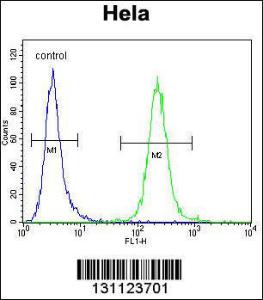 Anti-POLR1B Rabbit Polyclonal Antibody (FITC (Fluorescein Isothiocyanate))