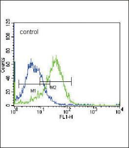 Anti-FADS2 Rabbit Polyclonal Antibody (FITC (Fluorescein Isothiocyanate))