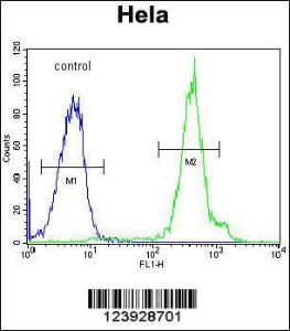 Anti-FUS Rabbit Polyclonal Antibody (FITC (Fluorescein Isothiocyanate))