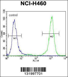 Anti-PCDHA9 Rabbit Polyclonal Antibody (APC (Allophycocyanin))