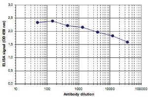 Anti-H3 Polyclonal Antibody