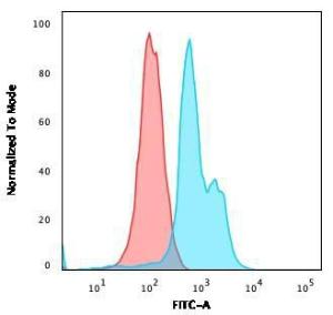 Flow cytometric analysis of MOLT4 cells using Anti-CD7 Antibody [SPV-L14] followed by Goat Anti-Mouse IgG (CFand#174; 488) (Blue). Isotype Control (Red)