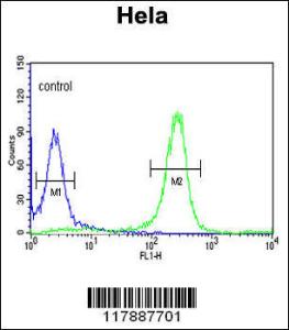 Anti-FYN Rabbit Polyclonal Antibody (APC (Allophycocyanin))