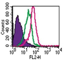 Anti-TLR7 Rabbit Polyclonal Antibody