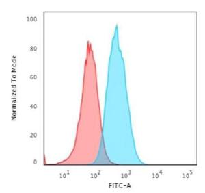 Flow cytometric analysis of T98G cells using Anti-S100A4 Antibody [CPTC-S100A4-3] followed by Goat Anti-Mouse IgG (CF&#174; 488) (Blue). Isotype Control (Red).