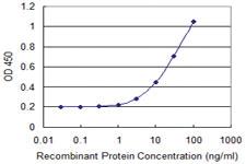 Anti-ASGR2 Mouse Monoclonal Antibody [clone: 1D7]