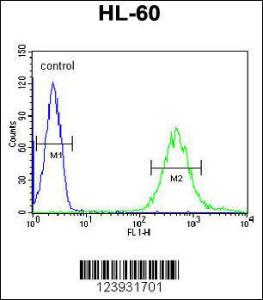 Anti-FUT6 Rabbit Polyclonal Antibody (AP (Alkaline Phosphatase))