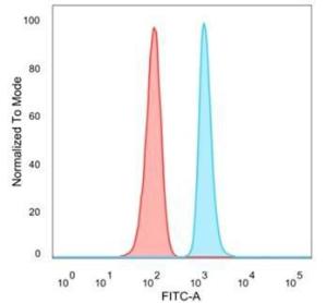 Flow cytometric analysis of PFA-fixed HeLa cells using Anti-SAMD4B Antibody [PCRP-SAMD4B-1H3] followed by Goat Anti-Mouse IgG (CFand#174; 488) (Blue). Isotype Control (Red)