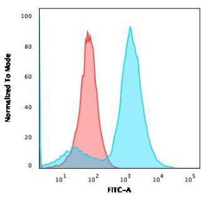 Flow cytometric analysis of A549 cells using Anti-S100A4 Antibody [CPTC-S100A4-3] followed by Goat Anti-Mouse IgG (CF&#174; 488) (Blue). Isotype Control (Red).