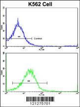 Anti-UNC5C Rabbit Polyclonal Antibody