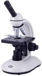 Microscopes droits, 28