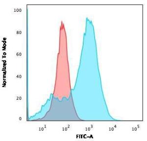 Anti-S100A4 Mouse Recombinant Antibody [clone: rS100A4/1481]