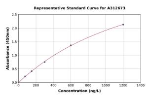 Representative standard curve for Mouse Nmi ELISA kit (A312673)