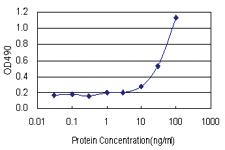 Anti-FADD Antibody Pair