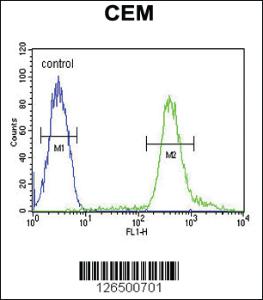 Anti-TSHZ2 Rabbit Polyclonal Antibody