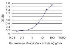 Anti-GUCY2C Mouse Monoclonal Antibody [clone: 2H8]