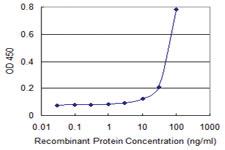 Anti-ZKSCAN4 Mouse Monoclonal Antibody [clone: 1D2]