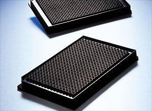 Clear bottom, black and white, polystyrene microplates, 384-well, Corning®